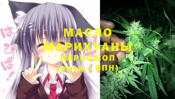 МДПВ Новозыбков