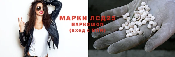 МДПВ Новозыбков