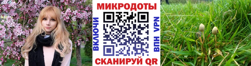 Псилоцибиновые грибы ЛСД  Камышлов 