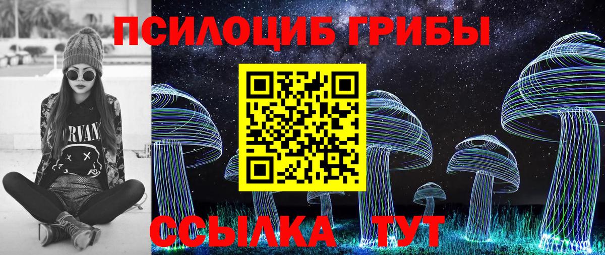 Галлюциногенные грибы мухоморы Камышлов